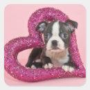 Search for love image stickers Funny