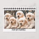 Search for golden retriever lover postcards Animals