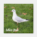 Search for bird lovers magnets Animal