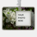 Search for silver spring Floral