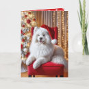 Search for samoyed christmas cards White
