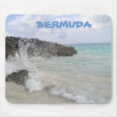 Search for bermuda electronics Tropical