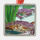 Search for oregon coast christmas tree decorations States