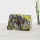 Search for ratties cards Cute