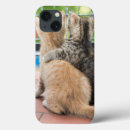 Search for getty cases Cute