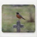 Search for robin mousepads Wildlife