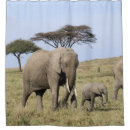 Search for african elephant bathroom accessories Pachyderm