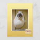 Search for speed postcards I can has cheezburger