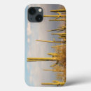 Search for arid cases Cactus
