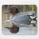 Search for ken mousepads Alaska