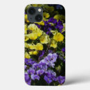 Search for yellow pansy iphone cases Nature