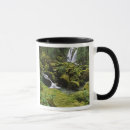 Search for forest green mugs Moss