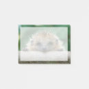 Search for hedgehog post it notes Animal