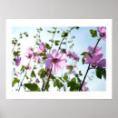 Search for thrive posters Pink