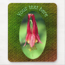 Search for columbines electronics Floral
