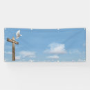 Search for dove and cross posters God