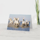 Search for mer cards Horse