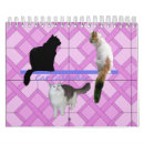 Search for maine coon cat calendars Felines