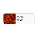 Search for fruit return address labels Healthy