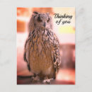 Search for experience postcards Photography