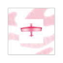 Search for biplane Cool