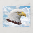 Search for eagle head postcards Eagles
