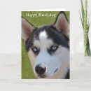 Search for husky birthday cards Sled