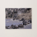 Search for kenya puzzles Masai mara