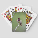 Search for hummingbird playing cards Wildlife