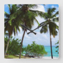 Search for tropical palm trees clocks Seascape