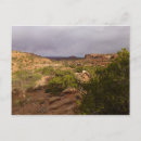 Search for necks postcards Photography
