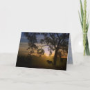 Search for equine silhouette cards Sunrise