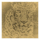 Search for leopard portrait posters Big cat
