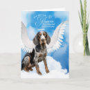 Search for bluetick coonhound Coonhounds