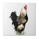 Search for chicken tiles Watercolor