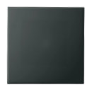 Search for teal color tiles Trendy