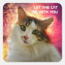 Search for calico cats stickers Funny