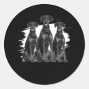 Search for black doberman stickers Pinscher