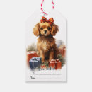 Search for spaniel dog Fun