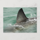 Search for threat postcards Danger