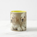 Search for sleepy dog mugs Pet