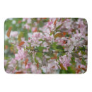 Search for spring bloom photography Apple tree