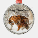 Search for tiger image Wildlife