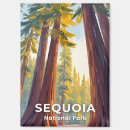 Search for sequoia national park magnets California