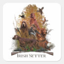 Search for irish setter stickers Pet