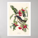 Search for piping posters Bird