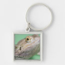 Search for bearded dragon key rings Cold blooded