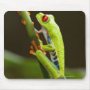 Search for tree frog mousepads Wildlife