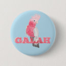 Search for galahs accessories Bird