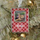 Search for cat in frame christmas tree decorations Dogs